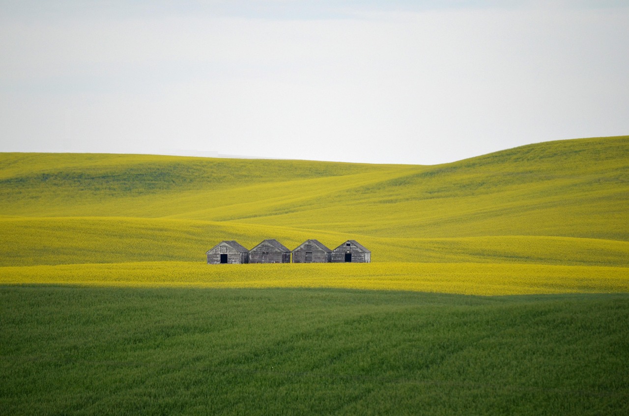 Anunț vânzare teren